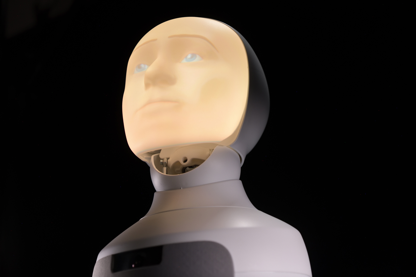 ai-robotic-head.title